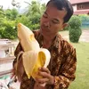 leonguyen_2407