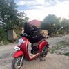 risda___29