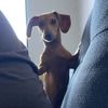 dobbydave96