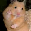 marky_desu