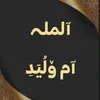 6166ali