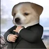 gbaor_
