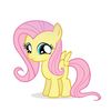 flutterderpy