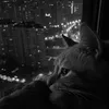 .n.sslw.i