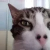 erxyk_