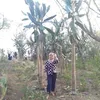 dafidamalias