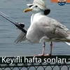 bilobaba.29