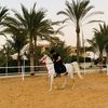 ahmedmorad199