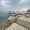 fuengi_pesca