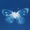 minh.sinh