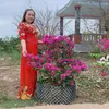 thinh19781604