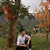 sontungpl
