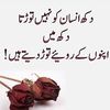 anayaqazi15