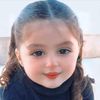 almh_lh