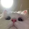 hihehuhis