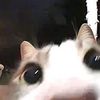 myrrrrrr345