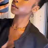 divinek_