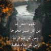 noor11403230