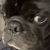 notjaylencwaller