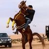 عبدالله الشلاحي 🐎.