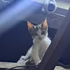 benelopee23