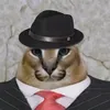 yamashi_qq