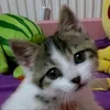 athinoula777