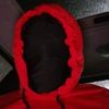 theredsentinel