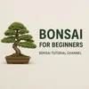 CK Bonsai