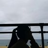 31856627441
