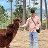 nntai95