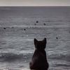 intisar_619