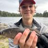 jesper_laumann