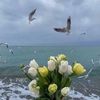 _aln723