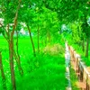 laddi_oye_313