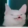 pedpiman