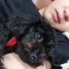 vanessaww_