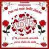 gardenia087