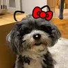 toncii_7