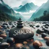 shallaw.kamal.abas
