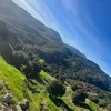 yahya_eljaaouani