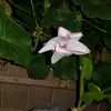 celine_5922