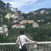 trinhhai83