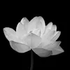 www.tiktok.com.kimdung94