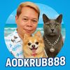aod_krub888