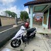 wilkprily_