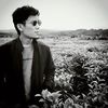 petersiregar