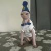 pixiedustfairy69