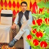 tayyab_shah_