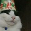 soupcat_4ever